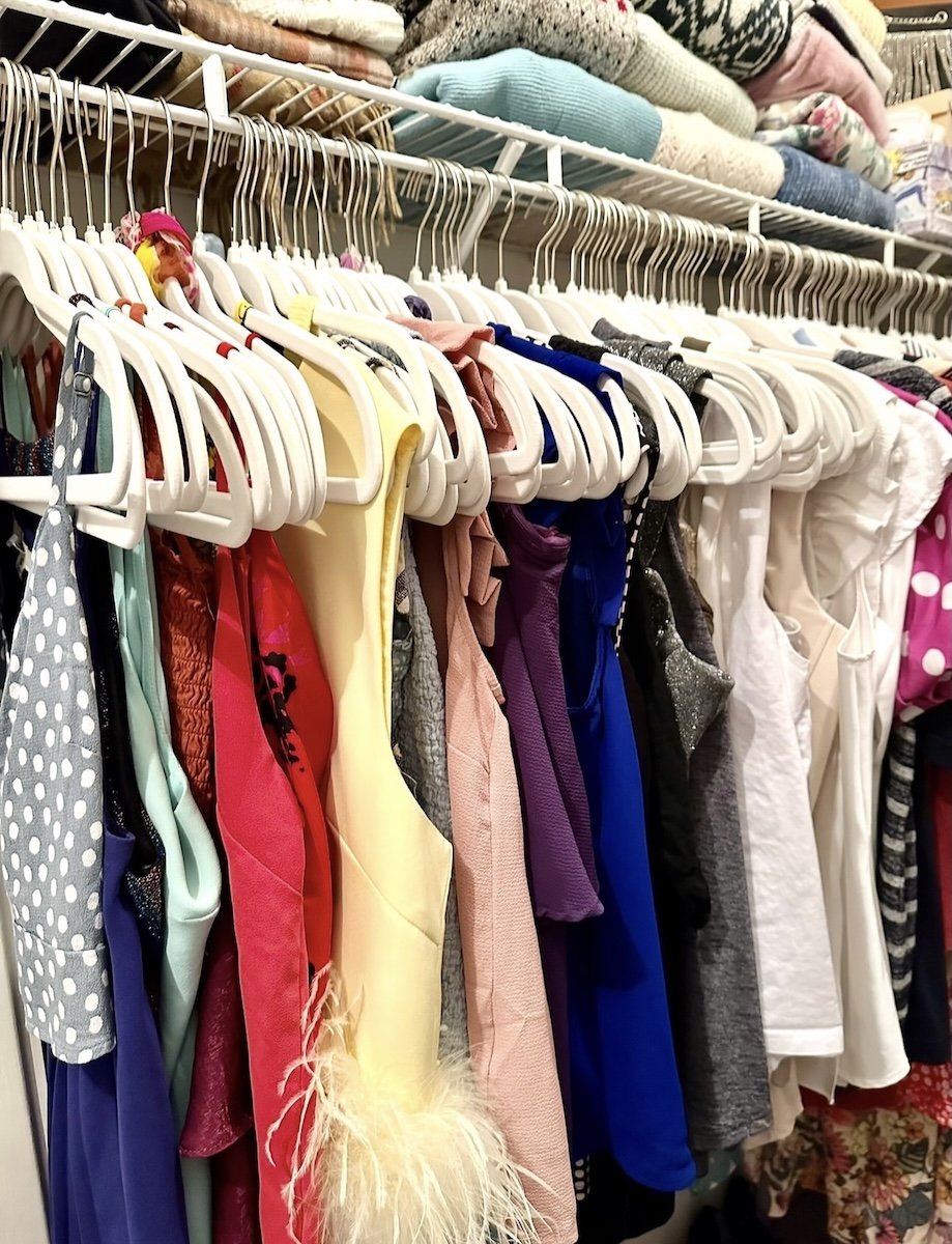 Professional Organized Closet